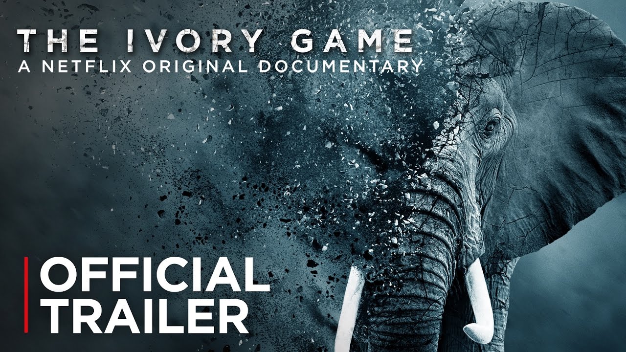 Download The Ivory Game Movie