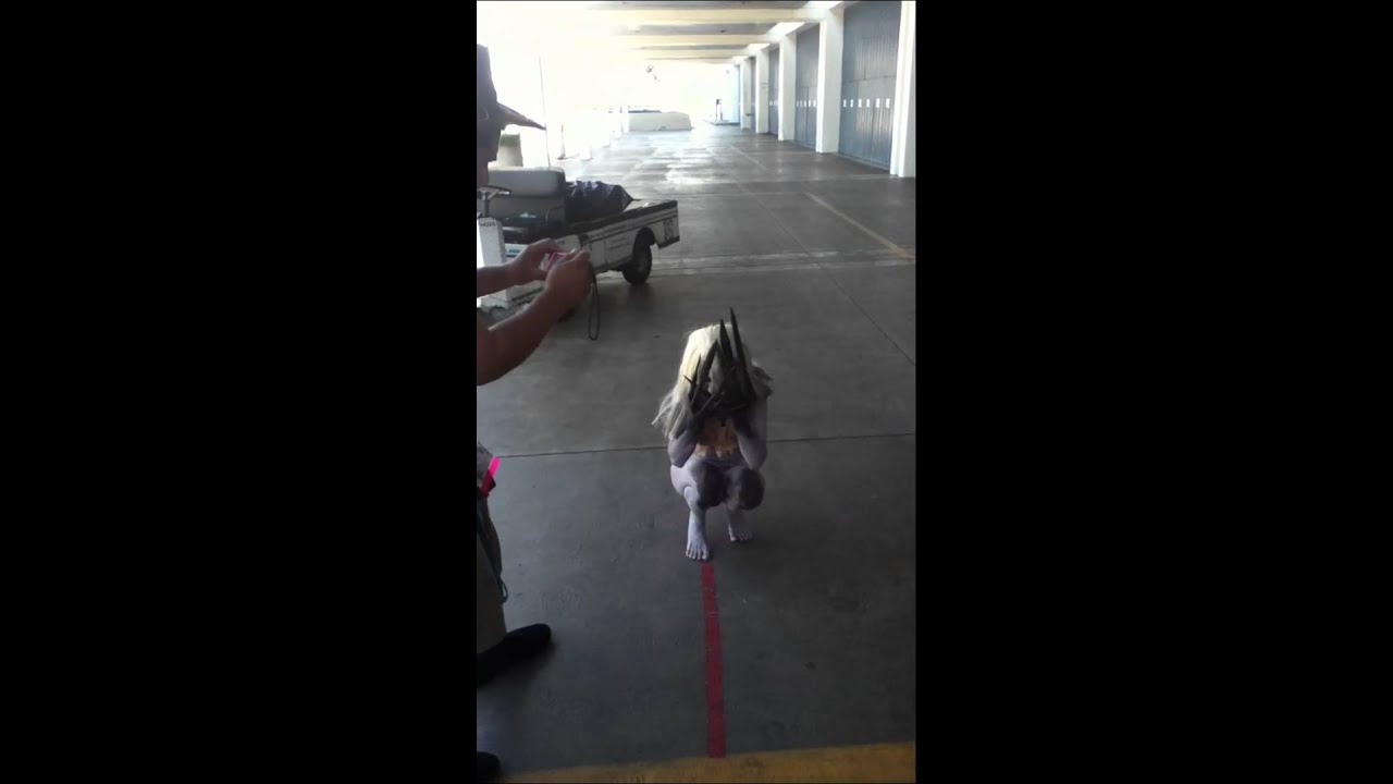 Download the Buried Netflix Documentary series from Mediafire