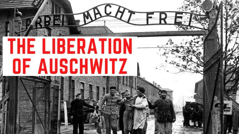 Download the Liberation Of Auschwitz Documentary movie from Mediafire